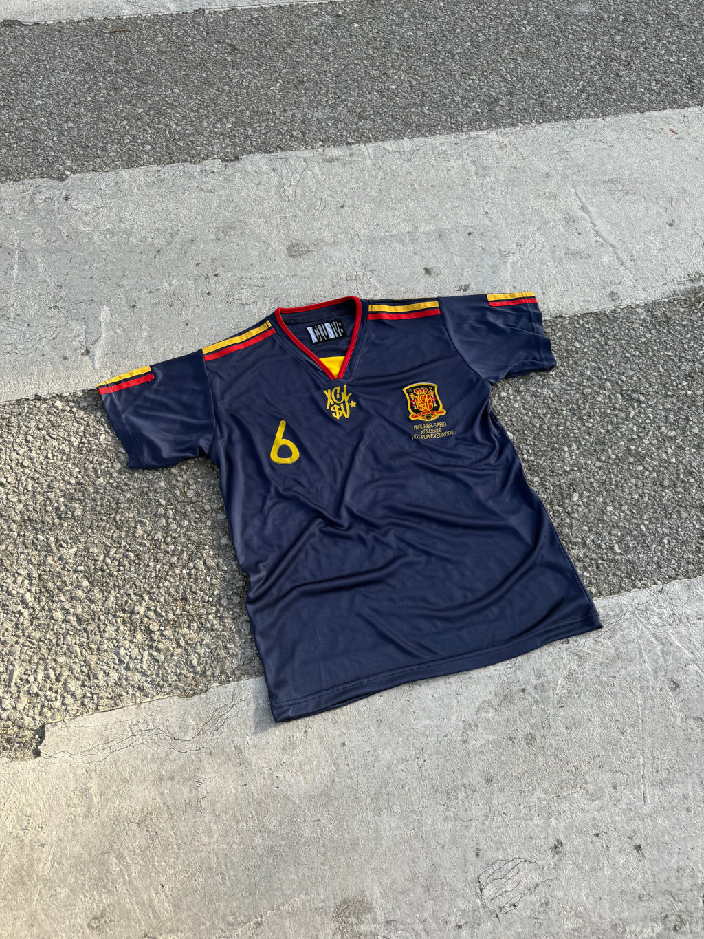 HOMENAJE ESPAÑA 2010